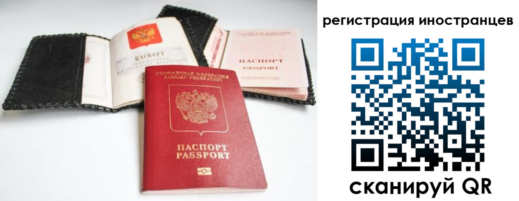 прописка гарантия в Острове